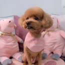 몽크의 아뜰리에 이미지
