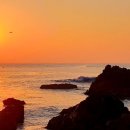 김서방 대게민박 이미지