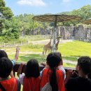 그린리더 이미지