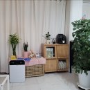 다야네일
