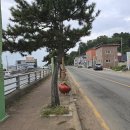 회천생태공원 야구장 이미지