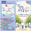 강진-28 티스토리