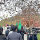 부여막국수 | 부여 &#39;장원막국수&#39; 일요일 오후 방문 후기