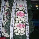 삼성장례식장
