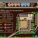 솔부엉이캠핑장 이미지