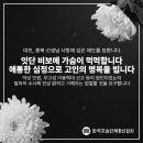 [교총 보도자료] 대전, 충북 초등교사의 잇단 극단 선택에 대한 성명 이미지