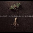 아모레양산