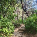 CU 춘천퇴계공단점 이미지