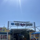 용호동 섶자리 이미지