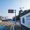 상수리공원 | 강릉가볼만한곳 경포대 2026 경포벚꽃축제(4/4토~4/11토) 정보