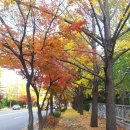 과천시청 내 이미지