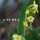 좋은 생각