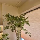 행복드림부동산공인중개사무소 | 강남/서초/송파 사무실 임대 및 상가 전문, 바론 공인중개사무소 오픈 소식