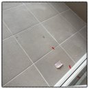 백곰 짐 | 입주 첫날의 만족감까지 채워주는 선택: 백곰종합청소 상세 후기와 실전 팁이에요