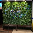 뉴욕바닷가재 이미지