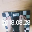 8월 28일 화요일(2일) 이미지