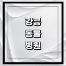 난곡동-63 | 강릉시 근처 동물병원 추천 정보 | 24시간 잘하는곳 고양이 강아지 중성화 수술 애견 가격 비용 금액 후기