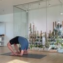 데이브 스튜디오