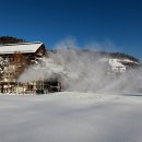 용평리조트 Daum카페