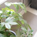 어바웃제이 이미지