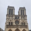 퐁네프 | 파리 노트르담대성당 후기｜운영시간·입장료·퐁네프 다리까지 도보 코스