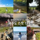윈도우스토리제주점 | 제주가볼만한곳 봄 여행지13곳 추천
