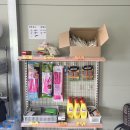 서울 근교 캠핑장 그늘이 많아 타프가 필요없는 파주 화석정캠핑장 추천