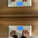 민들레약국 | 우먼정 먹어본 내돈내산 솔직후기