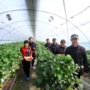 대박농장 이미지