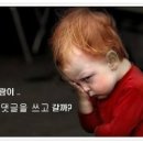 달밤고래 이미지