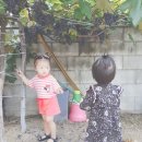 서오어린이집 이미지