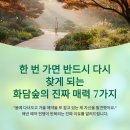 3월 21일 <세계 숲의 날> 반려식물: 다육이 | 한 번 가면 반드시 다시 찾게 되는 화담숲의 진짜 매력 7가지 (2026 최신)