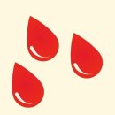 오피피시방 이미지