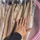 7월 7일(금) 목포는항구다 생선카페 판매생선[ (건조) 짼갈치, 삼치 / 젓갈류, 육젓(새우젓) ] 이미지