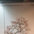 빛고을고등학교 이미지