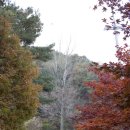 가야산(서산) 가을 빛 이미지