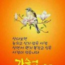 아 석 정 네이버블로그