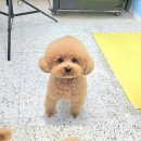 포즈티브 이미지