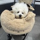 3128 | 마두 안경점 친절한 설명과 가성비까지 꽉 잡은 으뜸플러스 후기