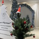 제이닷플레이스 | 더현대팝업 스누피팝업, 스누피 X 제이닷트리 갔다온 넘 귀여웠던 후기!