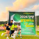 단양고등학교 | 2024 단양달빛레이스 5km 참가 후기