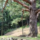 [국도34] 괴산군 적석리 네이버블로그