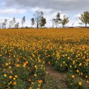 황화농장 이미지