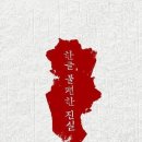 한글의 불편한 진실 - 한글은 백성을 위해 만든 것이 아니다. 이미지