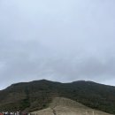 사시스세소