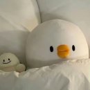 힐링모먼트