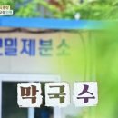 전씨네축산