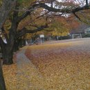 남면초등학교 이미지