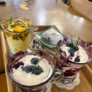 전주 꾸덕하고 담백한 수제요거트 홀릭인카페 이미지