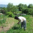 동창농장 이미지